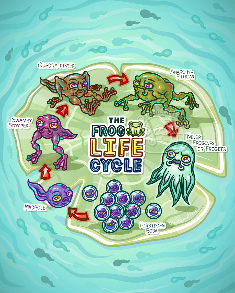 The Frog Life Cycle