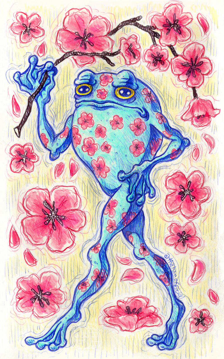 Cherry Blossom Frog (Sketchbook)